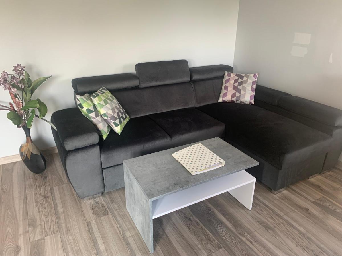 Klimatyzowany Apartament Z Miejscem Garazowym 고르주프비엘코폴스키 외부 사진