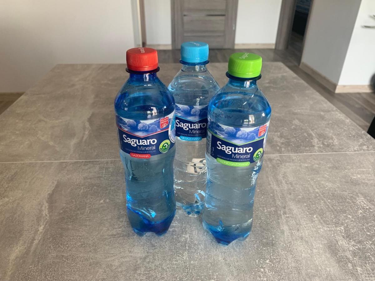 Klimatyzowany Apartament Z Miejscem Garazowym 고르주프비엘코폴스키 외부 사진